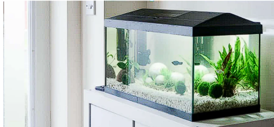 EzoAquarium za akvarijume